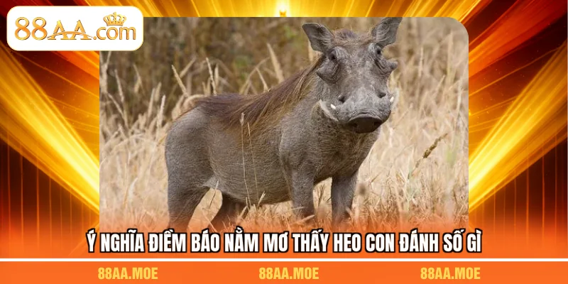 Ý nghĩa điềm báo nằm mơ thấy heo con đánh số gì